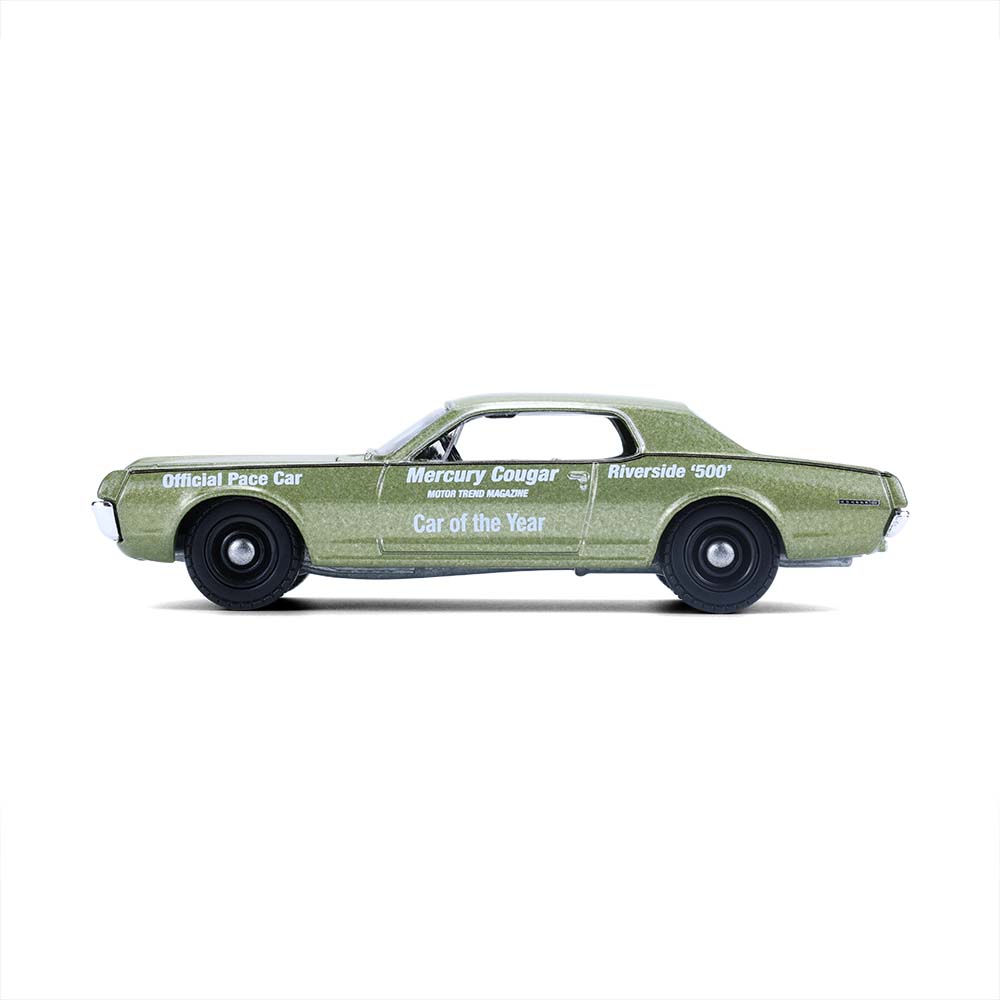 Cougar